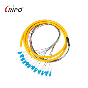 LC/UPC 12-Fiber OS2 Single-Mode Bundled Fiber Optic Pigtails 0,9mm LSZH Jacket (OFNR obediente) - Product Image 2