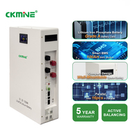 Batterie au lithium 5 kWh personnalisable avec logo, 100 Ah 51,2 V, cellules de qualité A, fabrication OEM/ODM, montage mural, pour importateurs solaires