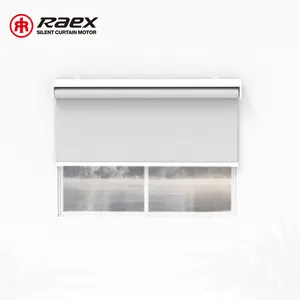 Motor Wifi Powered Smart Automated Battery Operated Roller Blinds Modern Light Grey French Window Motorized Diy Exterior 24v