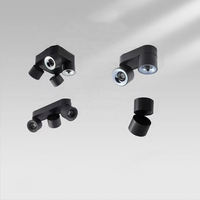 Lumière tubulaire anti-éblouissement intérieure de haute qualité personnalisée 12w 85-265V Spot de plafond réglable à montage en surface