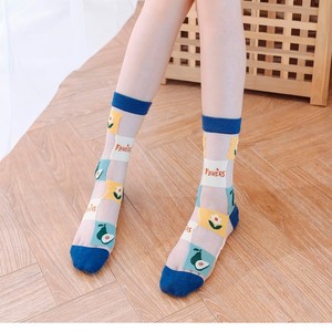 2021 plus récent fruit élastique mignon été chaussettes cristal Transparent soie chaussettes femmes - Product Image 5