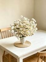 Bunga Kering Rodanthe Daisy Wafa Home, Produk Terlaris, Ramah Lingkungan, untuk Pernikahan, Hari Valentine, Natal, Imlek