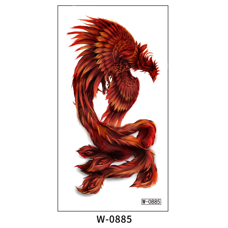 W-0885