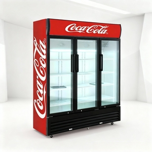 Commerciële gekoelde drankenpresentatiekoelkast met glazen deur, mechanische temperatuurregeling, LED-verlichting en verstelbare schappen voor winkels - Product Image 2