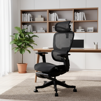 Chaise de bureau exécutive ergonomique en maille avec structure en fer, confort durable, soutien lombaire moderne réglable, pivotant à 360°, accoudoirs coulissants