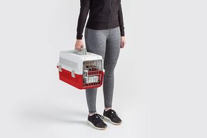 Respirant Air Carrier <span class=keywords><strong>Chien</strong></span> Transporteur <span class=keywords><strong>Avion</strong></span> Approuvé Boîte De Transport Chat <span class=keywords><strong>Chien</strong></span> Pet Voyage Pet Carrier <span class=keywords><strong>Cage</strong></span> - Product Image 4