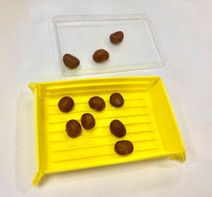 לשימוש חוזר מזון אחסון מיכל מתקפל סיליקון קערת למסיבות אוכל, טיולים, קמפינג, אחסון, מתנה יצירתית - Product Image 4