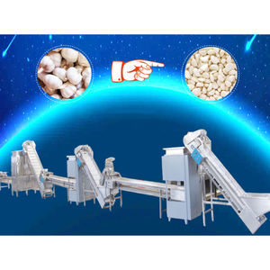 خط تقشير الثوم الأوتوماتيكي، نظام تقشير الثوم الصناعي مع ناقل وتحكم آلي - Product Image 2