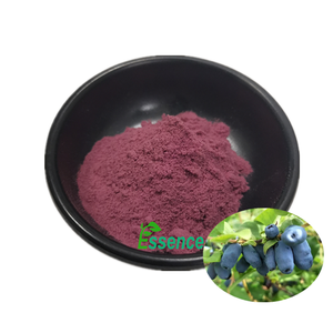 100% naturel <span class=keywords><strong>Lonicera</strong></span> <span class=keywords><strong>Caerulea</strong></span> Haskap Berry poudre d'extrait de myrtille - Product Image 1