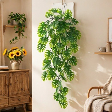 5-forked turtle shell vine