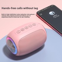 Haut-parleur sans fil portable pour extérieur, mini audio, 5W de sortie, batterie au lithium, avec lecteur de carte et fonction de rappel vocal