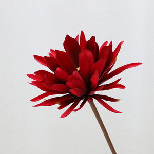 Cereus Notturno Fiorito <span class=keywords><strong>di</strong></span> <span class=keywords><strong>Notte</strong></span>, <span class=keywords><strong>Fiore</strong></span> Artificiale all'Ingrosso per Decorazioni Domestiche - Product Image 5
