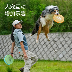 Frisbee pour chien, jouet d'entraînement professionnel, plastique résistant à l'usure, équipement de jeu d'agilité pour chien - Product Image 1