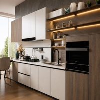 Lemari Dapur Modern dari Baja Anti Karat, Rak Penyimpanan Modular, Meja Marmer, Wastafel, Keran, Peralatan Terpasang, Lampu LED