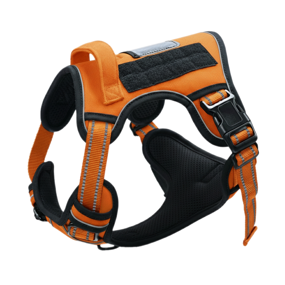 Safety Orange
