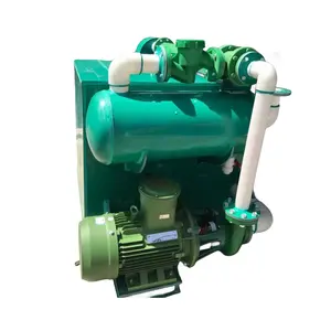 Customizable Vacuum Pump For Chemical Metallurgy Food/medicine Process Vacuum Distillation Electric Water Ring Vacuum Pump