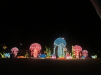 Animal méduse grand chinois année nem lanternes en papier festival extérieur étanche lanterne décorative