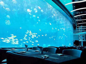 Murale d'<span class=keywords><strong>aquarium</strong></span> en acrylique, aquascape, fournisseurs d'aquariums, <span class=keywords><strong>aquarium</strong></span> en verre, mur intérieur d'<span class=keywords><strong>aquarium</strong></span> - Product Image 5