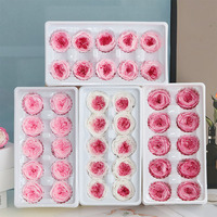 Immortal Austin Rose Matière première 4cm Grade 10 Tête de fleur Bouquet de couverture en verre fait à la main Préservé Saint Valentin Graduation