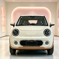 Voiture électrique miniature neuve de bonne qualité en stock, quatre roues, fermée, haute puissance, voiture électrique pour adultes de haute qualité