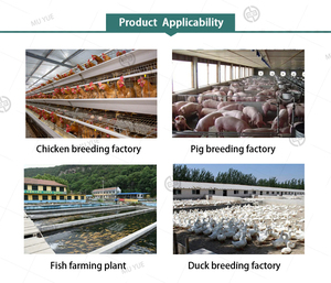 Suplemento en Polvo con 4% de Aminoácidos y Conservantes para la Nutrición de Cerdos, Aditivos para Premezclas de Alimento para el Engorde de Cerdos - Product Image 3