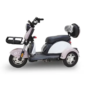 Putian Trailer Sepeda Motor Elektrik 60V, Kualitas Handal untuk Dijual