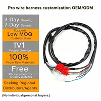 Kabel Harness Sepeda Motor Kustom OEMODM |   Rangkaian Kabel Listrik Otomotif dengan Konektor Molex/JST, Panjang Kabel Sesuai Pesanan