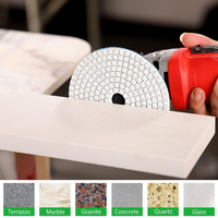 Tampons de ponçage diamantés humides/secs 50-3000 Tampons de polissage diamantés de 4 pouces pour outils de carrelage en béton de pierre de marbre de granit