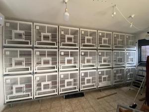 TOPVETMED gabbia per uccelli rete metallica per uccelli allevamento gabbia per uccelli allevamento di piccioni e pappagalli all'ingrosso gabbia per uccelli - Product Image 4