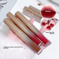 Vente en gros de rouge à lèvres liquide organique hydratant minéral 5g Velours imperméable Mat Brillant pour maquillage Brillant pour le pompage des lèvres