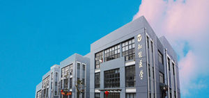 โมเดลการพยาบาลทางการแพทย์ขั้นสูง BIX-HS6/1โมเดลการฝึกฉีดพิษและแขนสำหรับทารกฉีดยาแบบทวิภาคี - Product Image 6