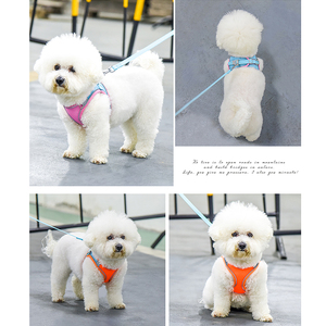 Set <span class=keywords><strong>Harness</strong></span> dan Tali Anjing Kecil, <span class=keywords><strong>Harness</strong></span> Kucing Lembut dan Bernapas, Rompi Anjing Kucing Berbahan Jaring dengan Tali untuk Anjing Kecil, Chihuahua, dan Anak Kucing - Product Image 5