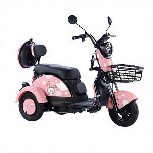 Tricycle électrique à une vitesse, nouveau, 600W, pour adultes et personnes âgées, cadre en acier à haute teneur en carbone 48V, directement de l'usine - Product Image 1