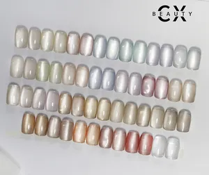 Caixuan 2023 NOUVEAU Gel pour les yeux de chat en porcelaine 27 couleurs Vente en gros 1Kg Emballage Pigment fin Gel pour les yeux de chat à lumière blanche