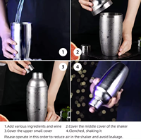 Ensemble de shaker à cocktails Camol personnalisé de 9 pièces, 550 ml, en acier inoxydable, kit de barman, doseur, pilon, passoire, pince à glace, verseur à vin