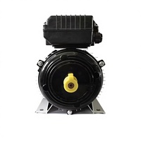 Moteur électrique AC monophasé 1,5 kW 220 V 2 CV 50 Hz à double condensateur, boîtier en aluminium, pour compresseur d'air - Vente chaude