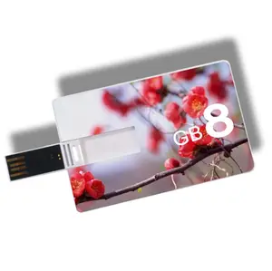 Usb 2.0 Creditcard Usb Stick 4Gb 8 Gb 16Gb 32Gb Beide Zijden Logo Afdrukken Memorias Usb flash Drive 128 Gb 64Gb