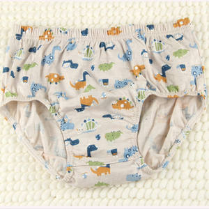 Calzoncillos bóxer de algodón puro para niños, ropa interior de un paquete, Estampado de dinosaurios encantadores, pantalones cortos de Bikini para niños de fábrica, 5 uds. - Product Image 6
