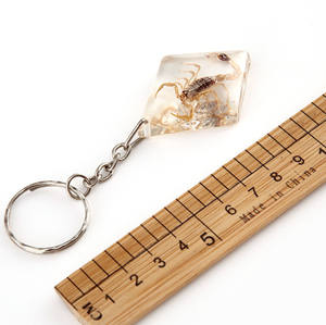 Porte-clés en ambre avec spécimen d'insecte véritable, scorpion, araignée cornée, scarabée, en résine, cadeau souvenir - Product Image 3