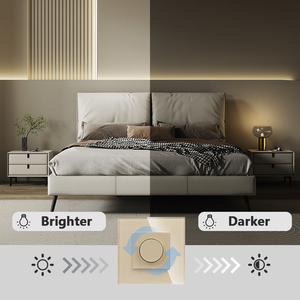 CNBingo Retail 500W Für Heim leuchten Lüfter Speeder Smart Switch Elektrisch drehen Eu/UK Mechanischer Lüfter Dimmersc halter - Product Image 6