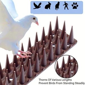 Ensemble répulsif pour oiseaux résistant à la corrosion Matériau PP Barrière à pointes d'oiseaux carrées - Product Image 2