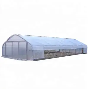 Agricultural and commercial tunnel greenhouses with hydroponics growing system green house