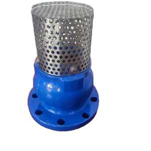 OEM Precio Bajo Flange Foot Pn16 GGG50 Foot PN2.5 SS304 Mesh Foot - Product Image 6