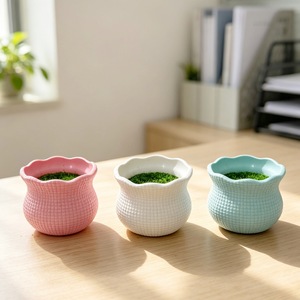Mini pot en plastique à grille 5 cm pour plantes artificielles, décoration intérieure, jardinière colorée pour petites plantes en pot - Product Image 2