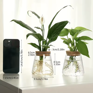 <span class=keywords><strong>Vaso</strong></span> di propagazione moderna <span class=keywords><strong>vaso</strong></span> di acqua idroponica fioriera supporto in <span class=keywords><strong>vetro</strong></span> trasparente pianta terrario con <span class=keywords><strong>coperchio</strong></span> in sughero e supporto in legno - Product Image 6