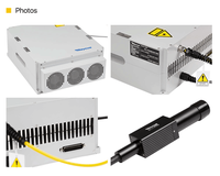 Raycus 20W 30W 50W Fuente de láser de fibra para máquina de marcado láser Módulo láser de fibra Q-Swiched