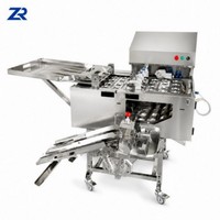 Ligne de traitement d'œufs liquides haute capacité avec pasteurisation et séparation du jaune pour les boulangeries et usines de snacks (5500-11000 P/h)