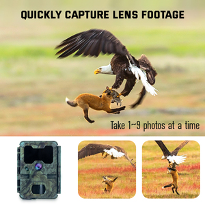 Cámara de Caza con Tamaño Pequeño KW788, Tiempo de Respuesta de 0.1s, 32MP, Video 4K, hasta 512GB de Almacenamiento, Cámara para Caza y Senderismo - Product Image 4