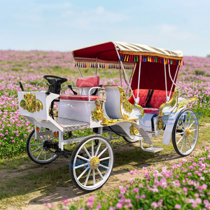 Calèche de luxe pour parc de visites, personnalisée, blanche, classique, à quatre roues, ouverte, électrique - Product Image 1