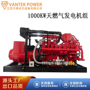 Grupo Electrógeno de Gas Natural Jiangsu Wantai TPD1000C5 de 1000 Kw, 400V, Certificado ISO9001 - Product Image 5